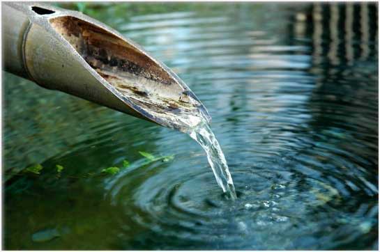 Waste water treatment: salvando el ecosistema